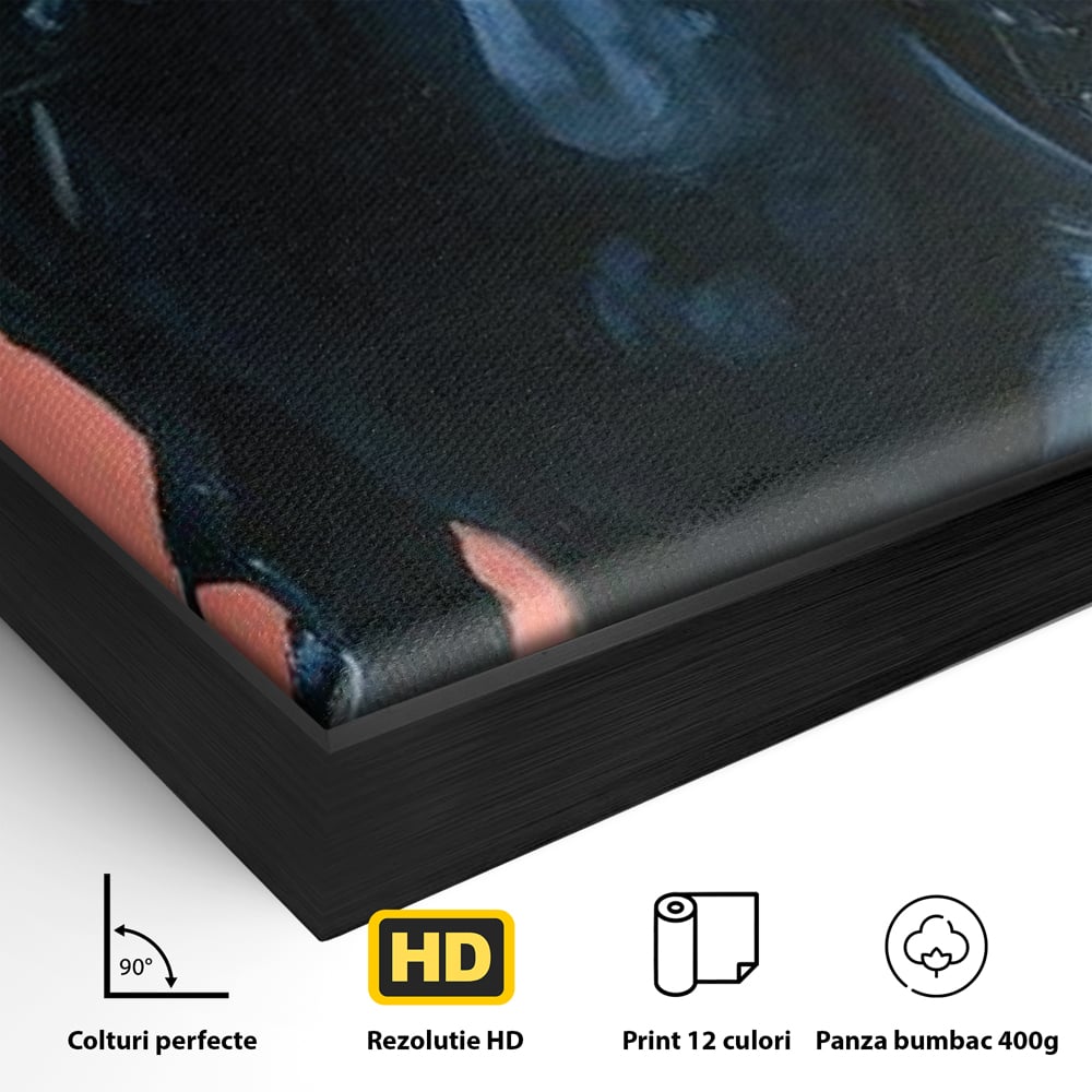 Detaliu al suprafetei: tablou canvas cu femeie calare, in rama de aluminiu negru