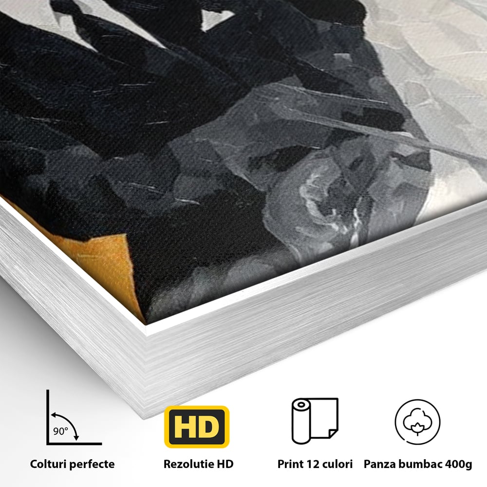 Detaliu al suprafetei: tablou canvas cu barbat calare pe cal alb, in rama de aluminiu argintiu