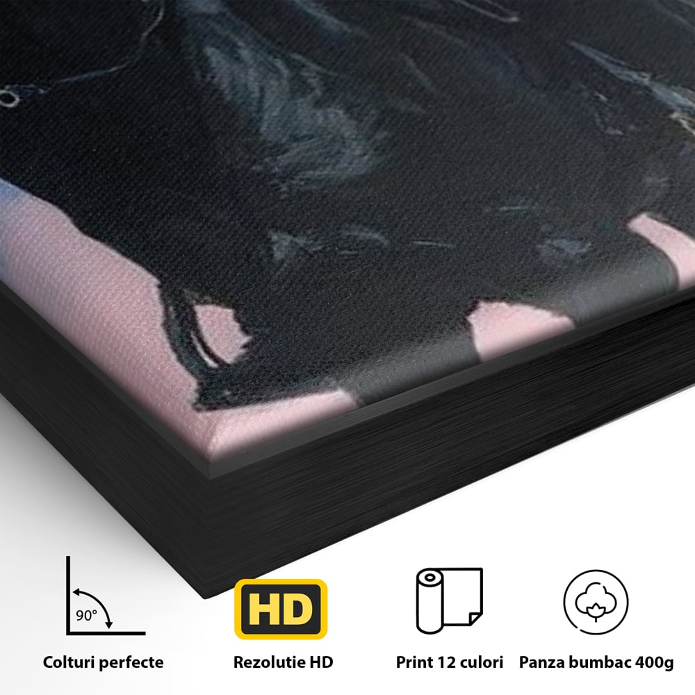 Detaliu al suprafetei: tablou canvas cu femeie calare pe armasar, in rama de aluminiu negru