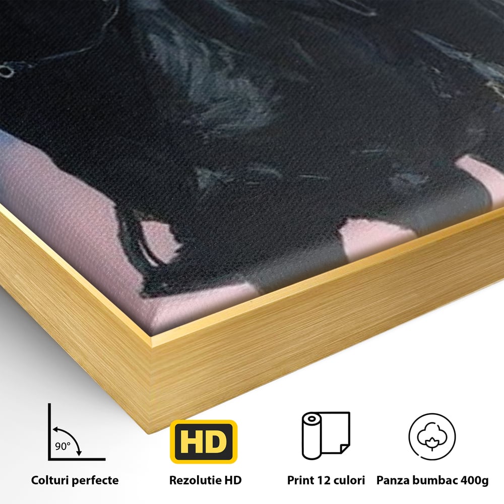 Detaliu al suprafetei: tablou canvas cu femeie calare pe armasar, in rama de aluminiu auriu