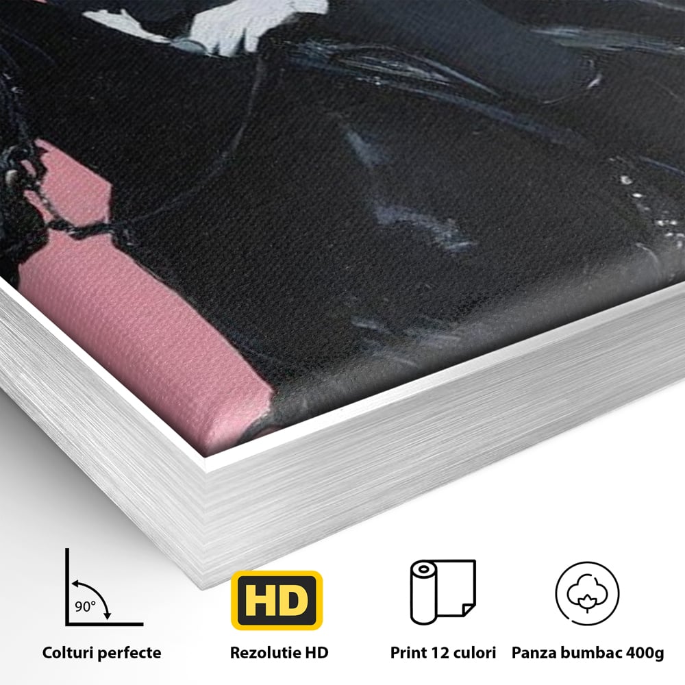 Detaliu al suprafetei: tablou canvas cu femeie calare, in rama de aluminiu argintiu