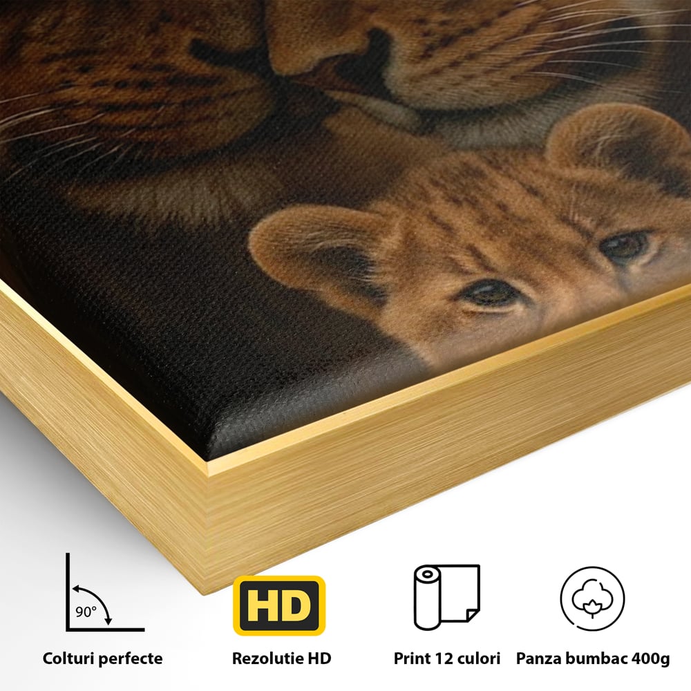Detaliu al suprafetei: tablou canvas cu familie de lei, in rama de aluminiu auriu