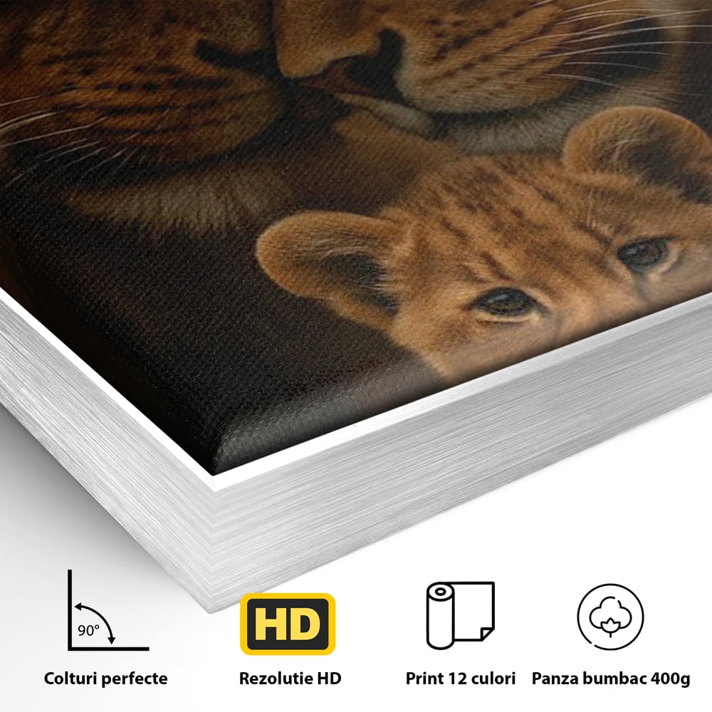 Detaliu al suprafetei: tablou canvas cu familie de lei, in rama de aluminiu argintiu