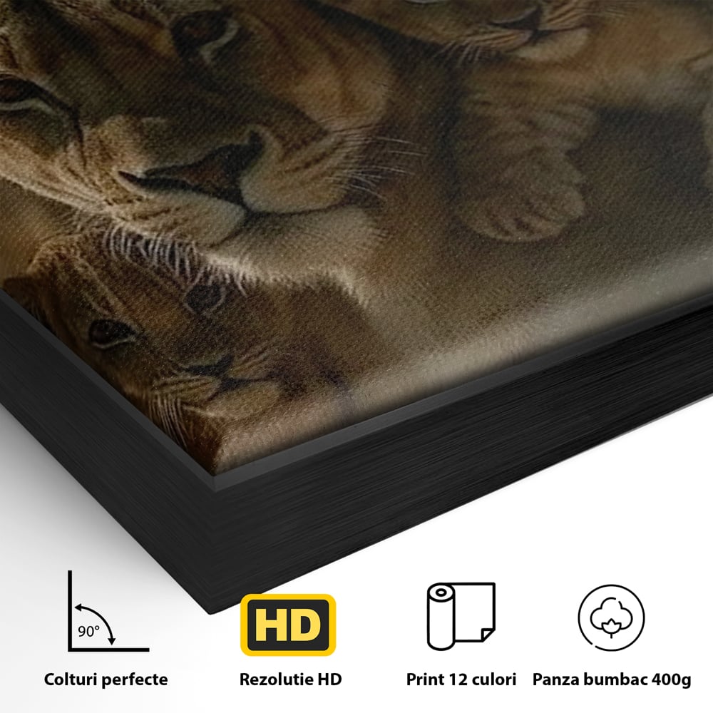 Detaliu al suprafetei: tablou canvas cu familie de lei in savana, in rama de aluminiu negru