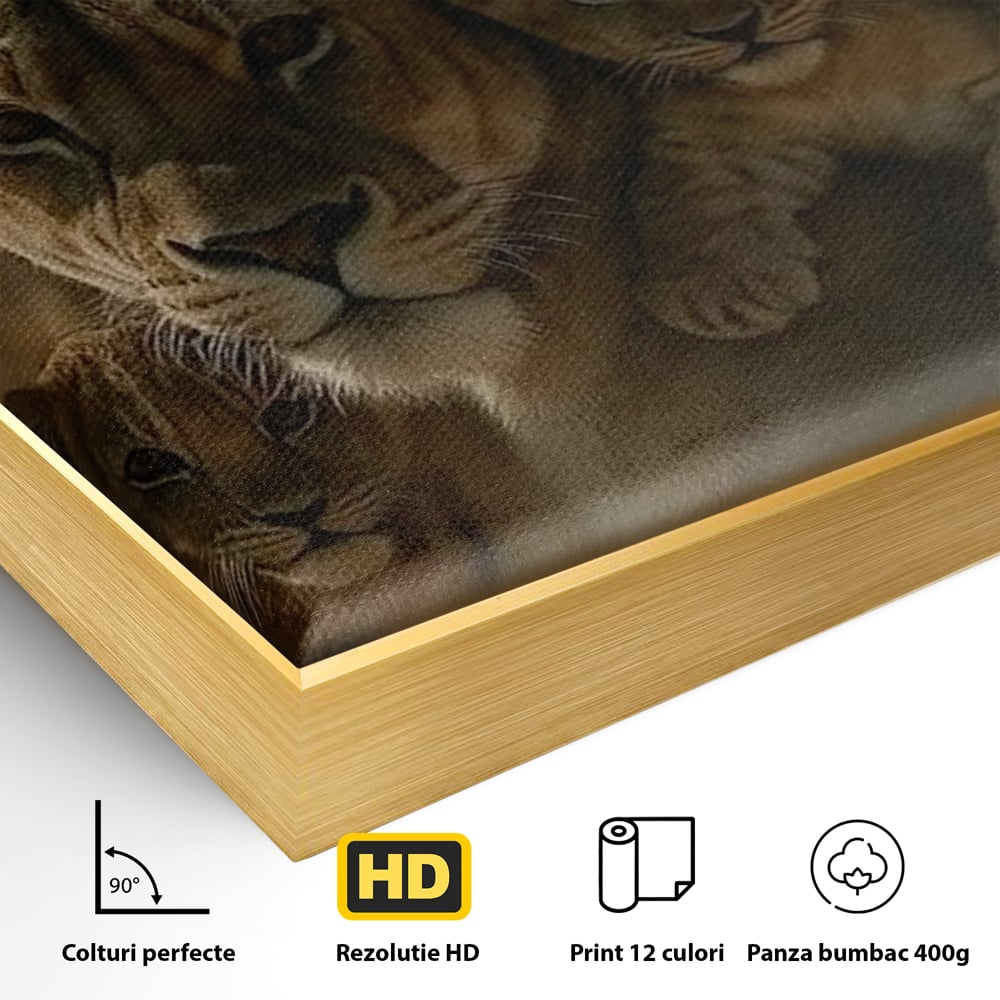 Detaliu al suprafetei: tablou canvas cu familie de lei in savana, in rama de aluminiu auriu