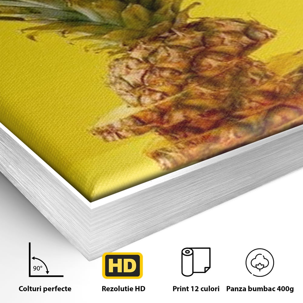 Detaliu al suprafetei: tablou canvas cu ananas feliat, in rama de aluminiu argintiu