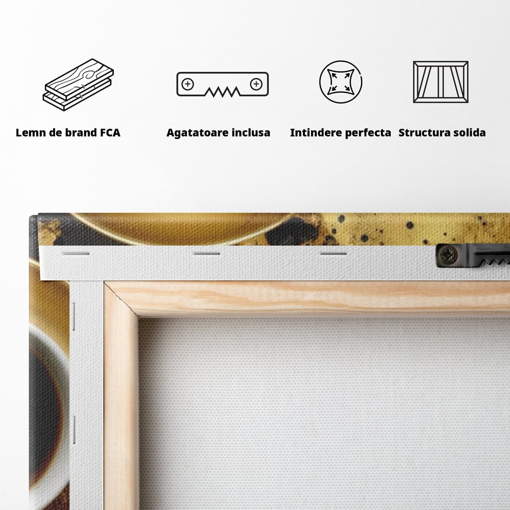 Spatele produsului, cu sasiu din lemn, capse metalice si agatatoare
