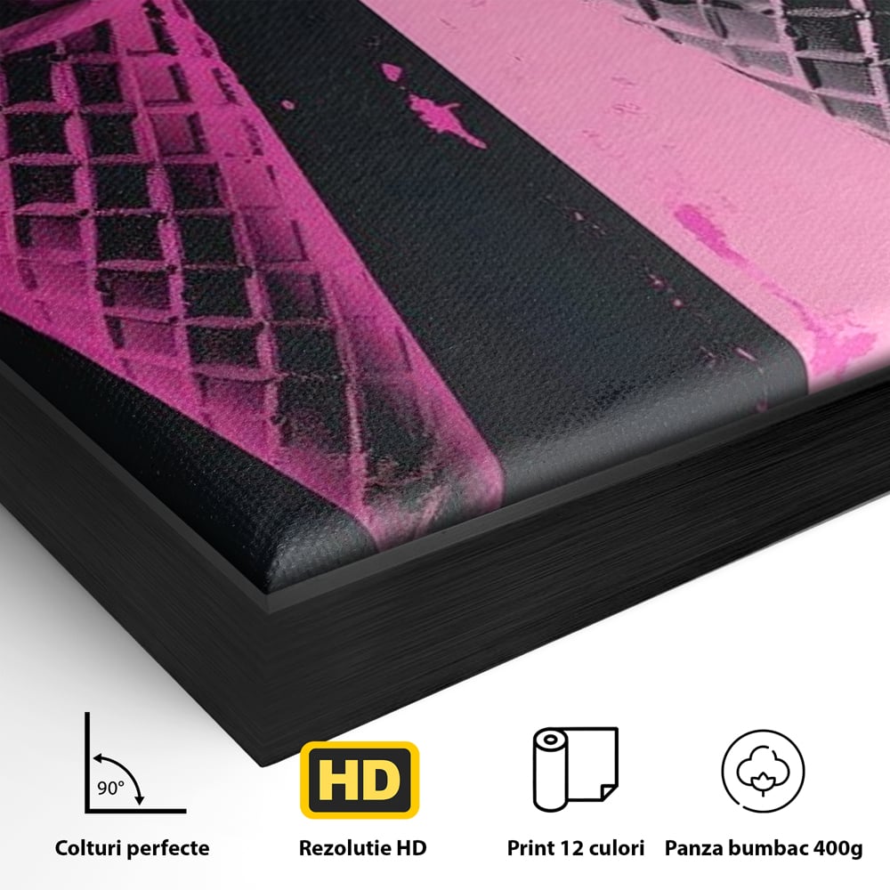 Detaliu al suprafetei: tablou canvas cu doua inghetate pe bat impartit vertical, in rama de aluminiu negru