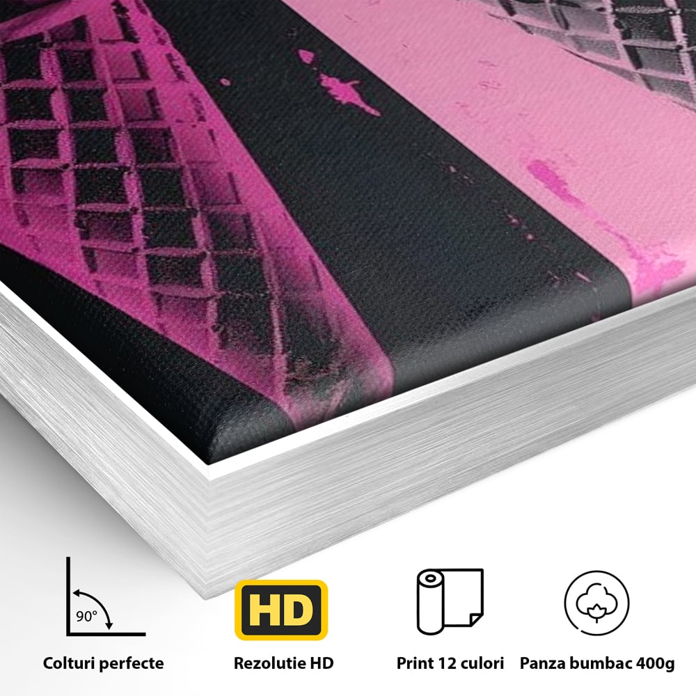 Detaliu al suprafetei: tablou canvas cu doua inghetate pe bat impartit vertical, in rama de aluminiu argintiu