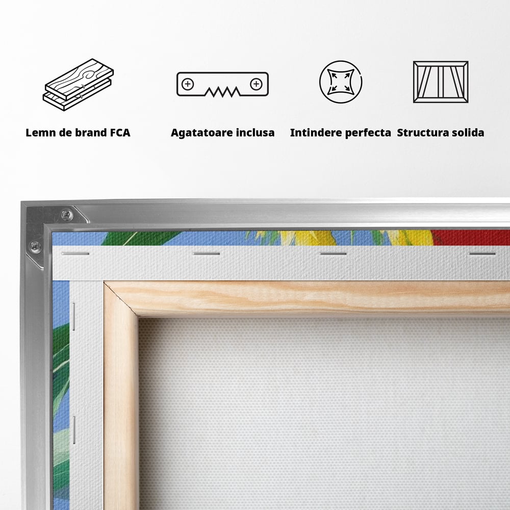 Spatele produsului, cu sasiu din lemn, capse metalice si agatatoare