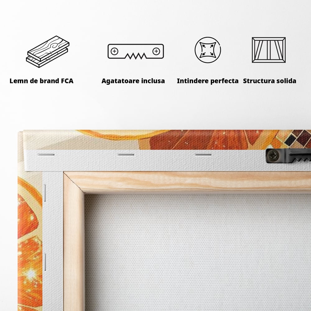 Spatele produsului, cu sasiu din lemn, capse metalice si agatatoare