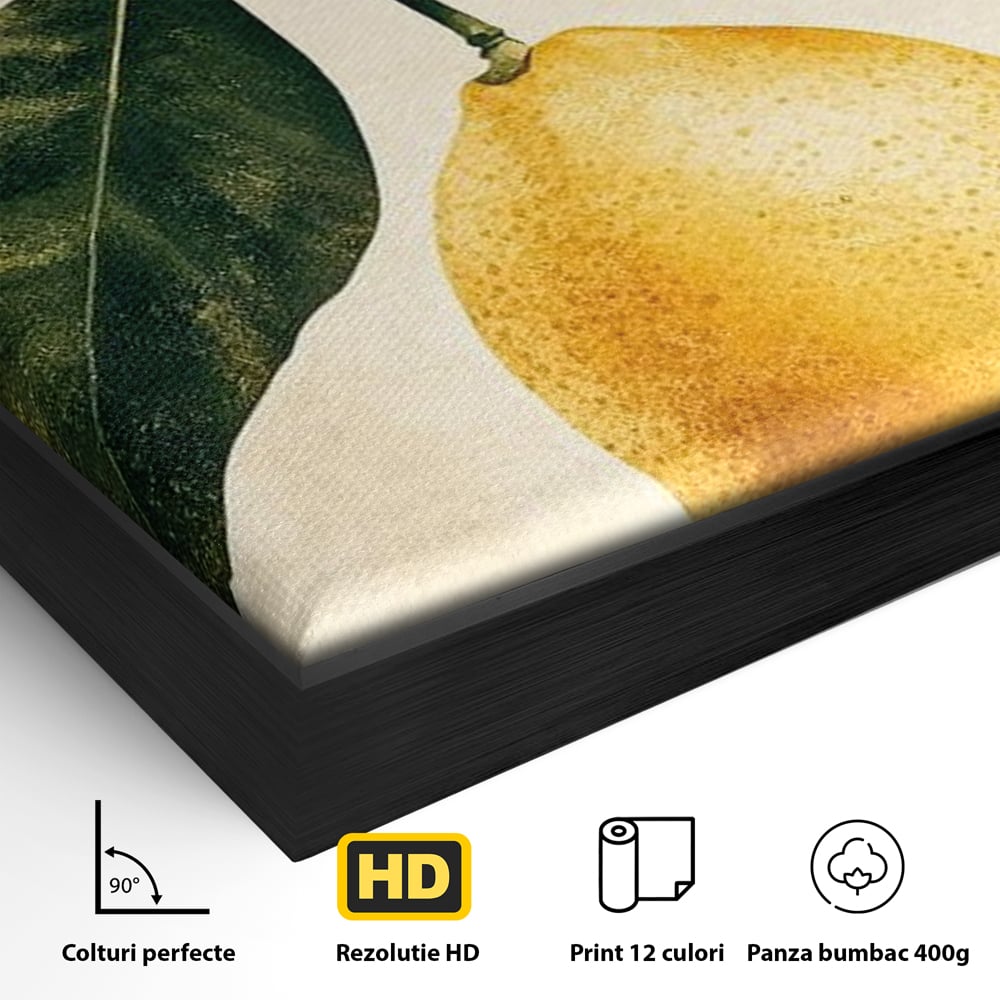 Detaliu al suprafetei: ilustratie botanica cu lamaie si frunze, in rama de aluminiu negru