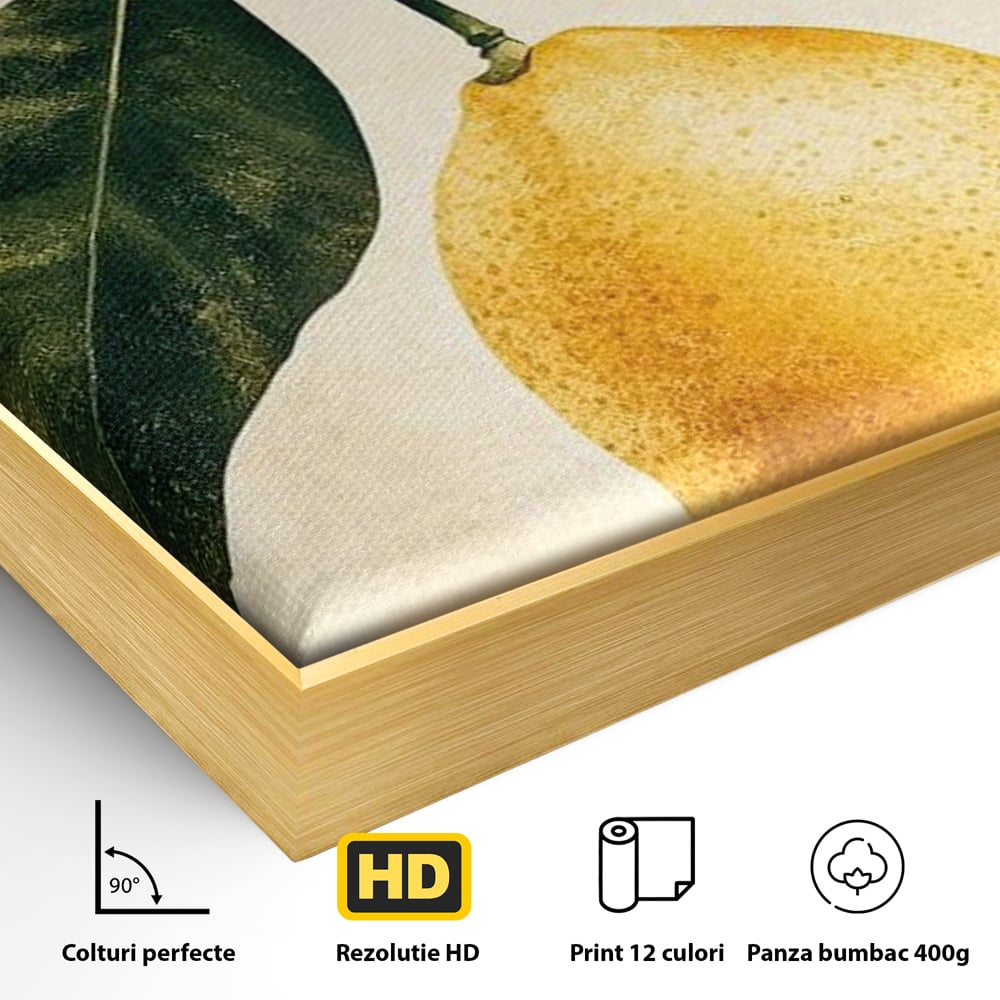 Detaliu al suprafetei: ilustratie botanica cu lamaie si frunze, in rama de aluminiu auriu
