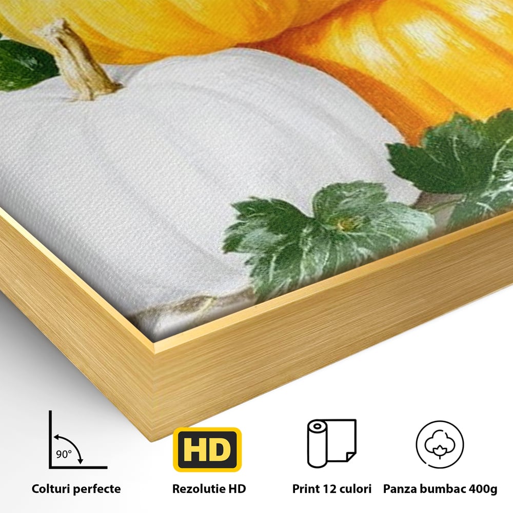Detaliu al suprafetei: pictura decorativa cu trei dovleci, in rama de aluminiu auriu