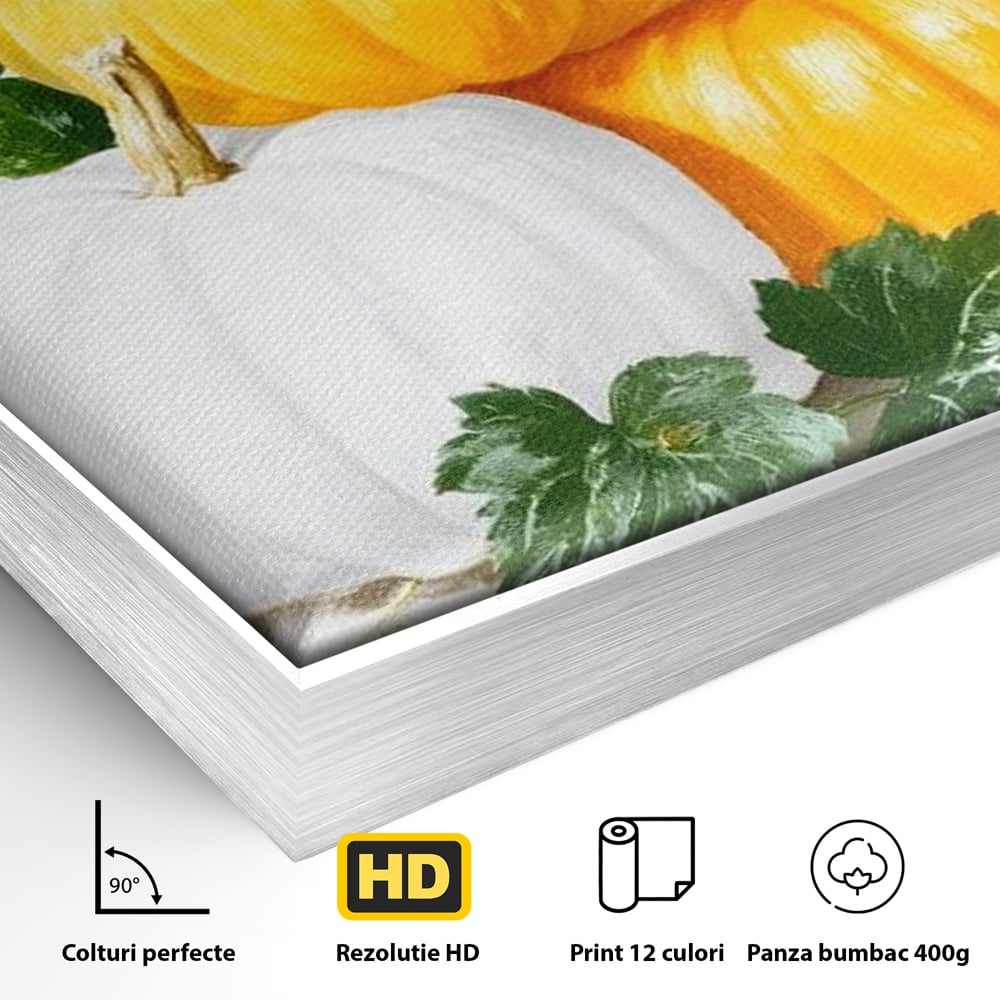 Detaliu al suprafetei: pictura decorativa cu trei dovleci, in rama de aluminiu argintiu
