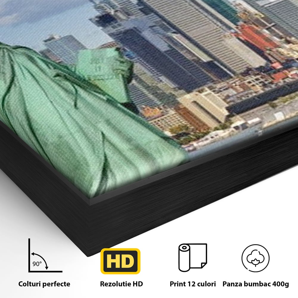 Detaliu al suprafetei: statuia libertatii si orizontul manhattan, in rama de aluminiu negru