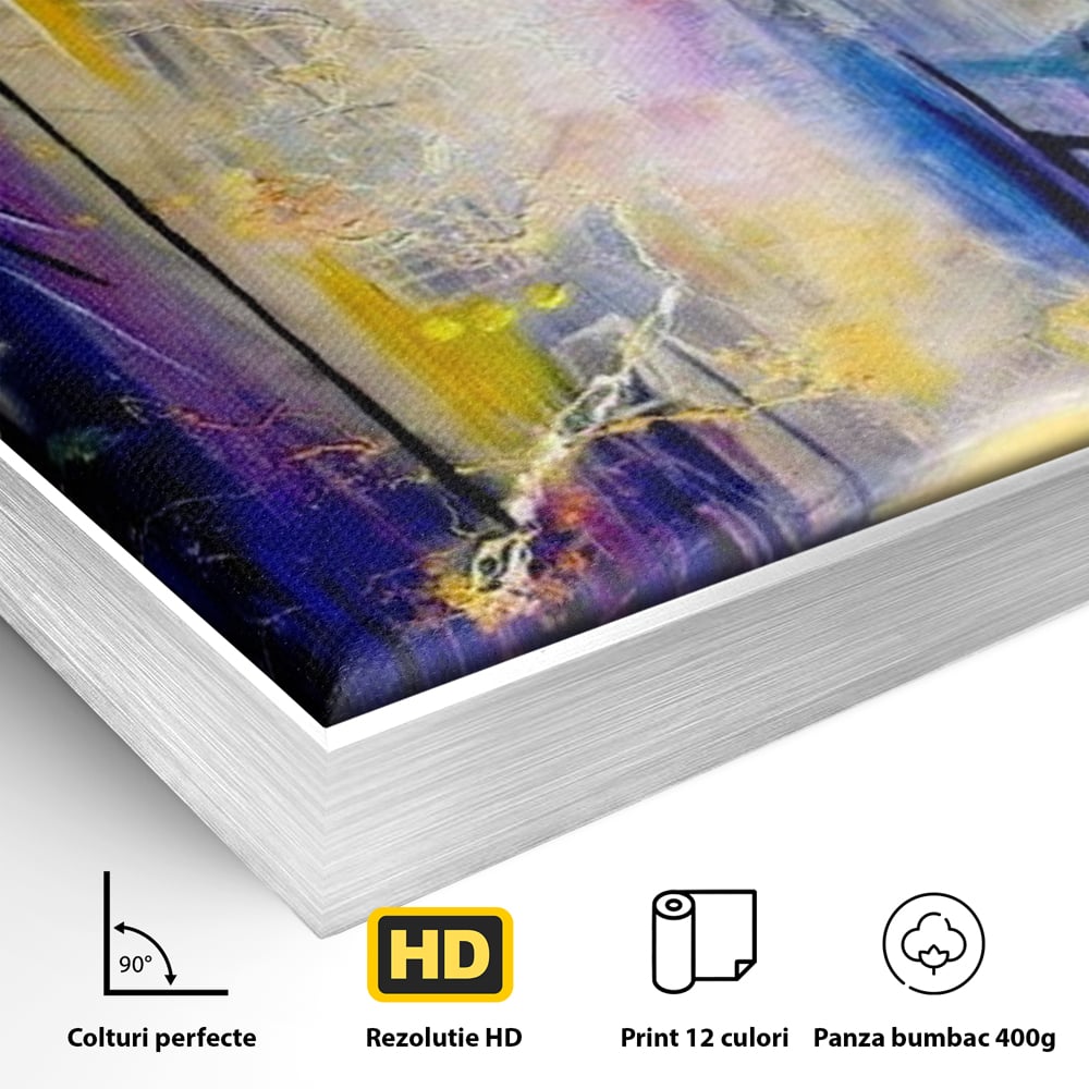 Detaliu al suprafetei: pictura stradala cu iluminat nocturn, in rama de aluminiu argintiu