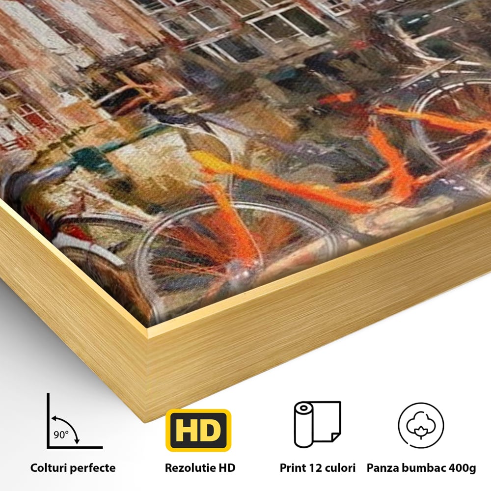 Detaliu al suprafetei: pictura stradala cu bicicleta portocalie, in rama de aluminiu auriu