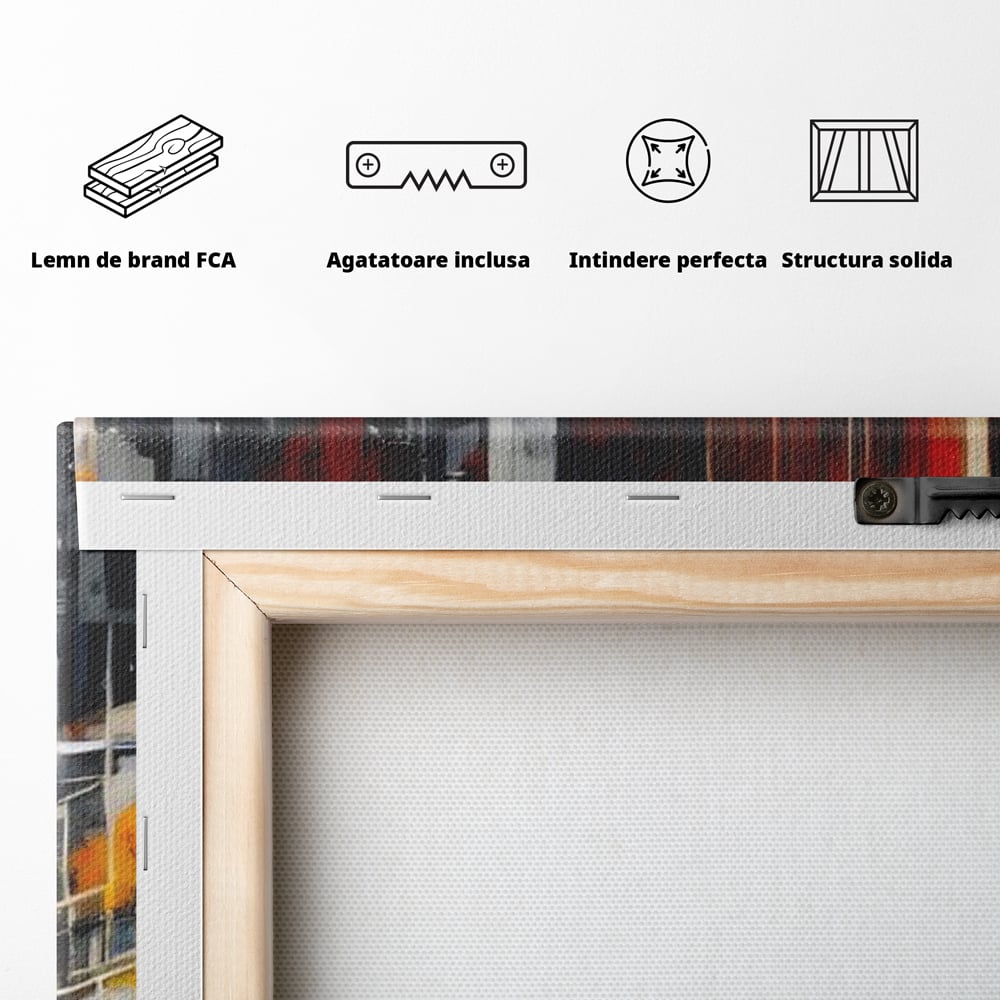 Spatele produsului, cu sasiu din lemn, capse metalice si agatatoare
