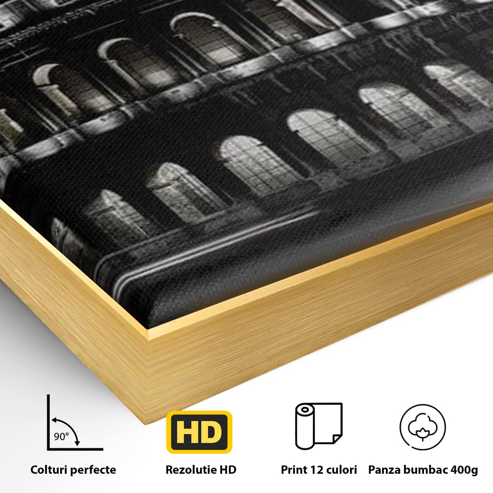 Detaliu al suprafetei: tablou canvas cu colosseumul noaptea, in rama de aluminiu auriu