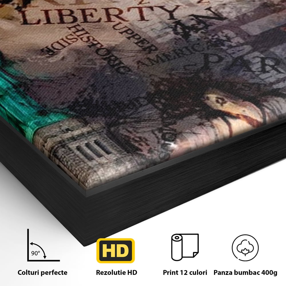 Detaliu al suprafetei: tablou canvas cu statuia libertatii si text, in rama de aluminiu negru