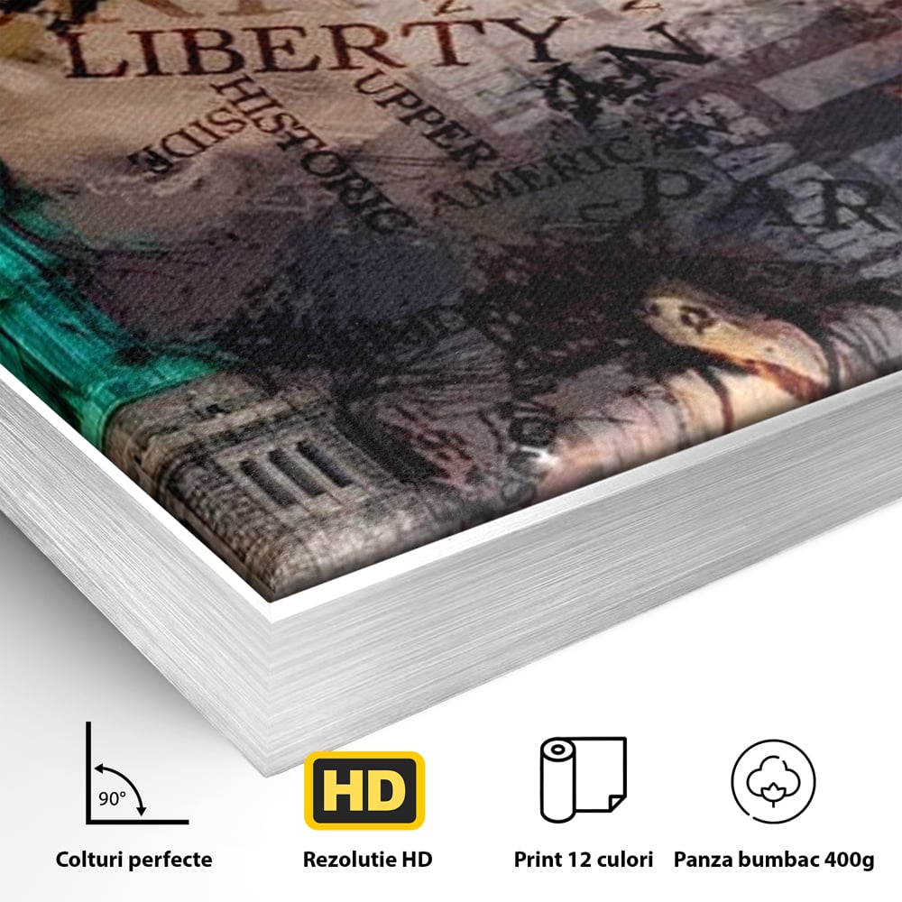 Detaliu al suprafetei: tablou canvas cu statuia libertatii si text, in rama de aluminiu argintiu