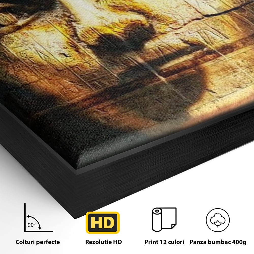Detaliu al suprafetei: tablou canvas cu chipul unui faraon, in rama de aluminiu negru