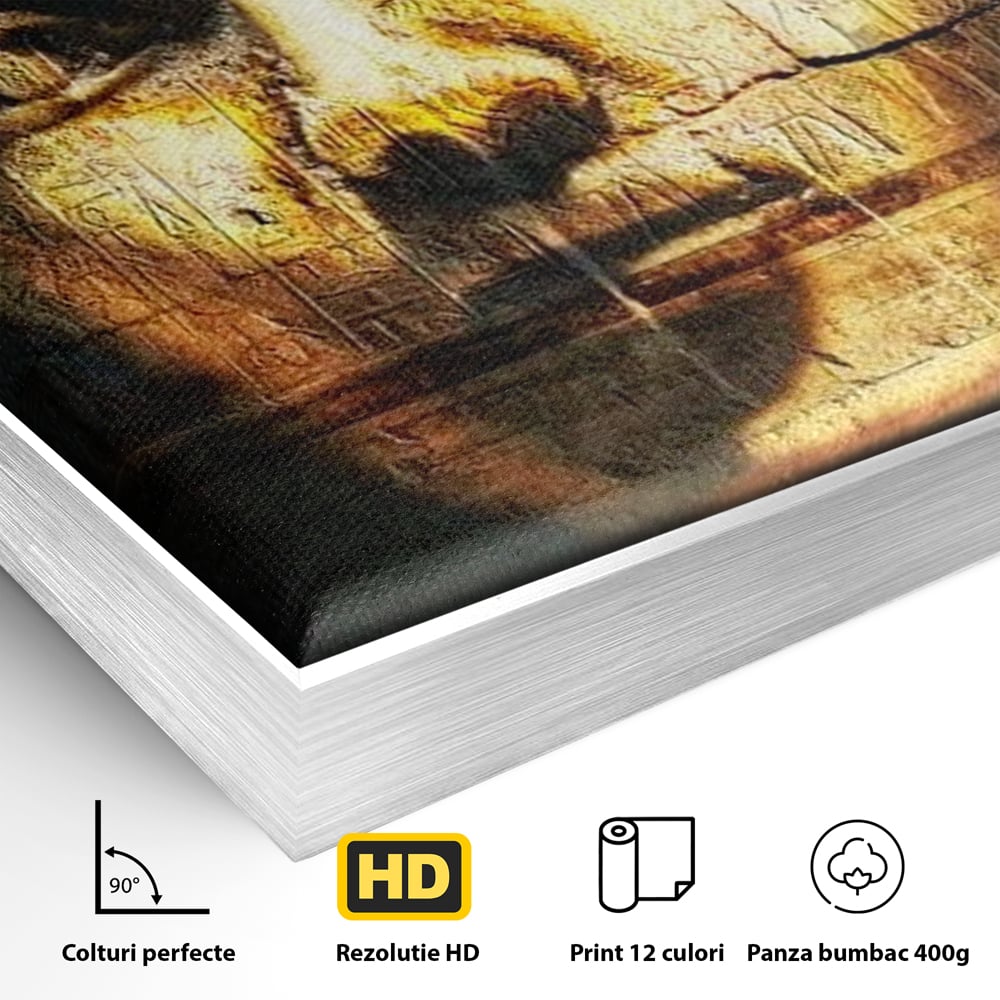 Detaliu al suprafetei: tablou canvas cu chipul unui faraon, in rama de aluminiu argintiu