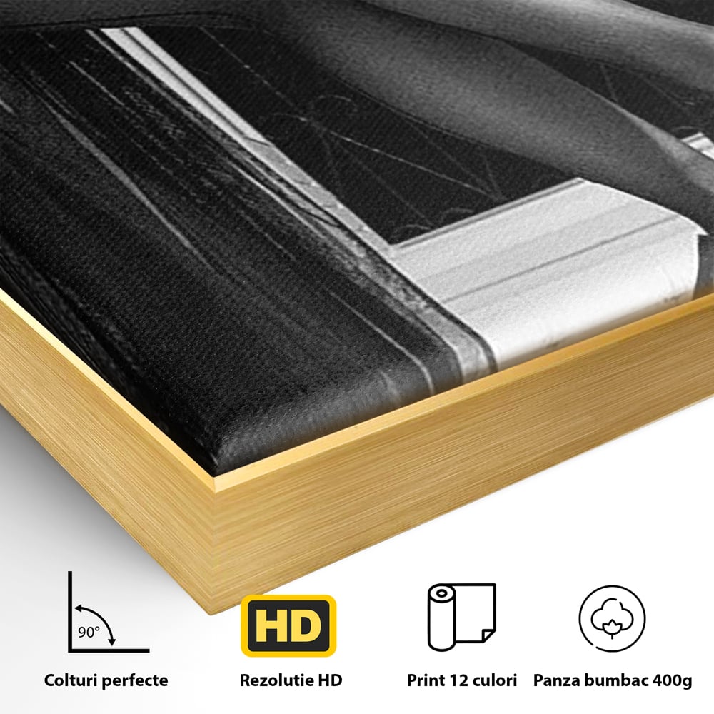 Detaliu al suprafetei: tablou canvas cu silueta feminina si pantofi cu toc, in rama de aluminiu auriu