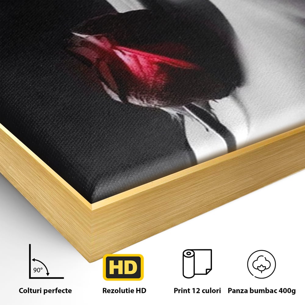 Detaliu al suprafetei: tablou canvas cu profil de femeie si trandafir rosu, in rama de aluminiu auriu