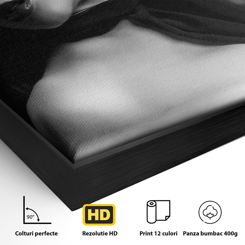Detaliu al suprafetei: tablou canvas portret feminin noir, in rama de aluminiu negru