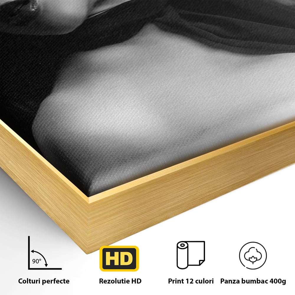 Detaliu al suprafetei: tablou canvas portret feminin noir, in rama de aluminiu auriu