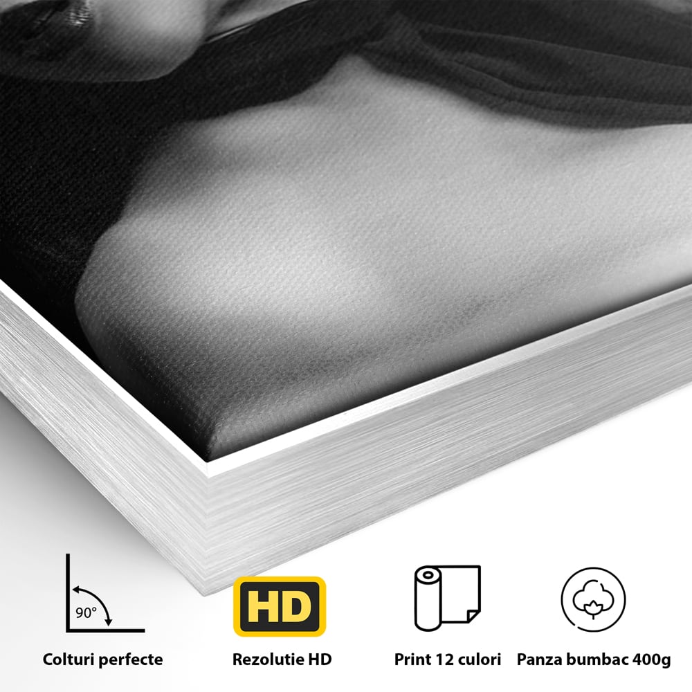 Detaliu al suprafetei: tablou canvas portret feminin noir, in rama de aluminiu argintiu