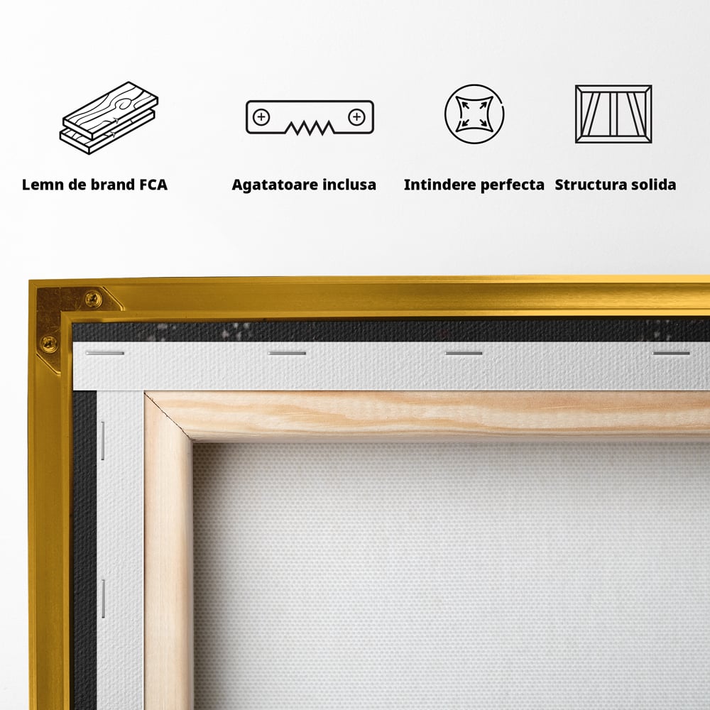 Spatele produsului, cu sasiu din lemn, capse metalice si agatatoare