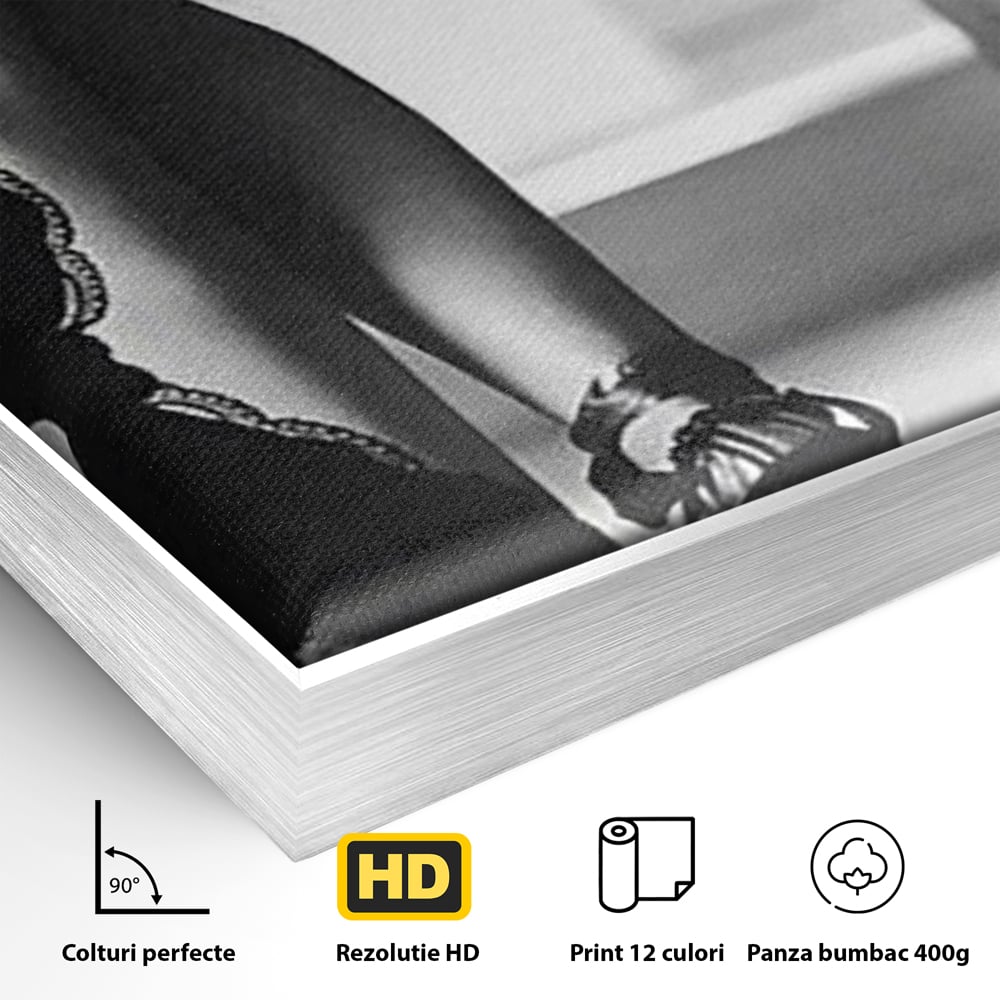 Detaliu al suprafetei: tablou canvas cu silueta feminina, in rama de aluminiu argintiu