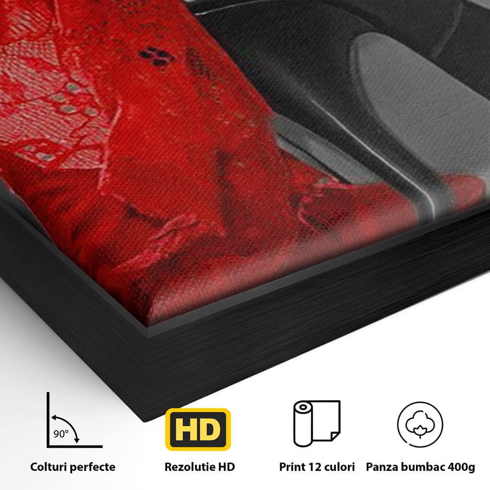 Detaliu al suprafetei: tablou canvas cu pantof stiletto si lenjerie, in rama de aluminiu negru