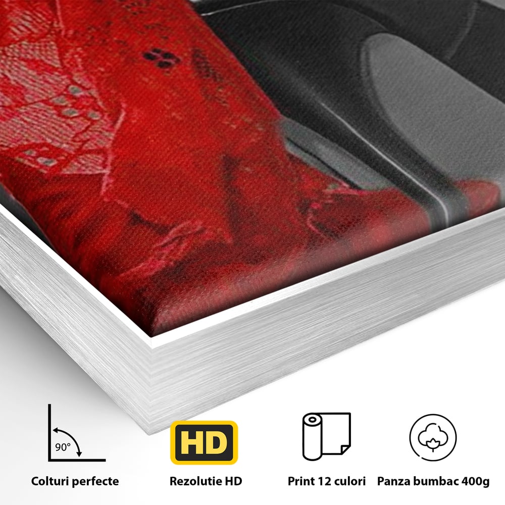 Detaliu al suprafetei: tablou canvas cu pantof stiletto si lenjerie, in rama de aluminiu argintiu