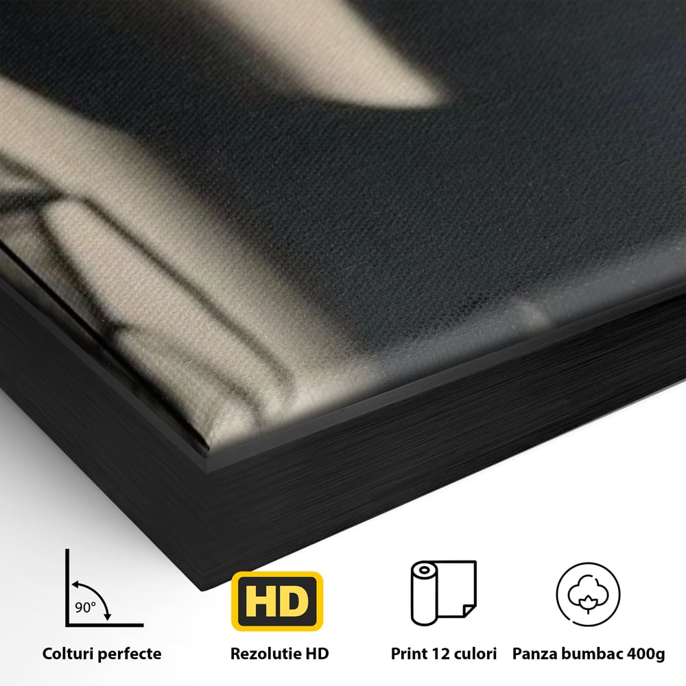 Detaliu al suprafetei: tablou canvas cu silueta si umbra, in rama de aluminiu negru