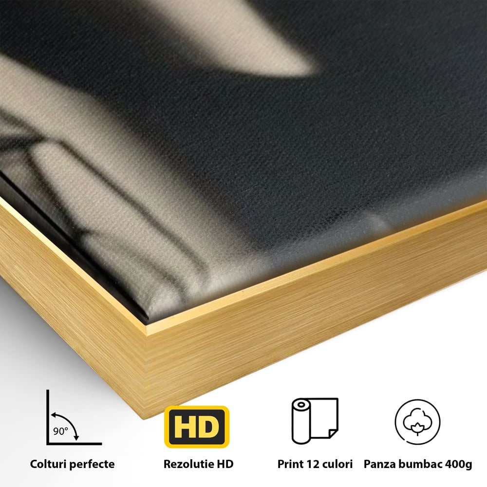 Detaliu al suprafetei: tablou canvas cu silueta si umbra, in rama de aluminiu auriu