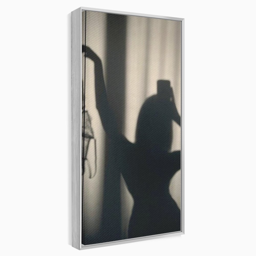 Tablou canvas cu tablou canvas cu silueta si umbra, in rama de aluminiu argintiu