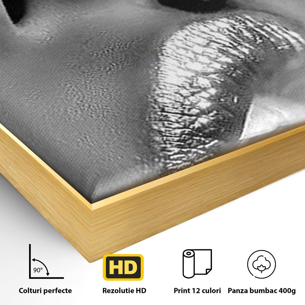 Detaliu al suprafetei: tablou canvas cu buze si fum, in rama de aluminiu auriu