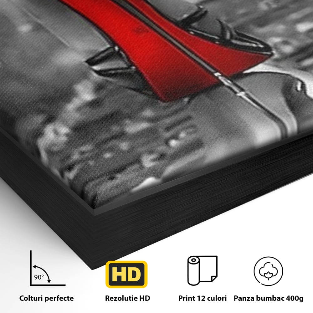 Detaliu al suprafetei: tablou canvas cu pantof pe sina, in rama de aluminiu negru
