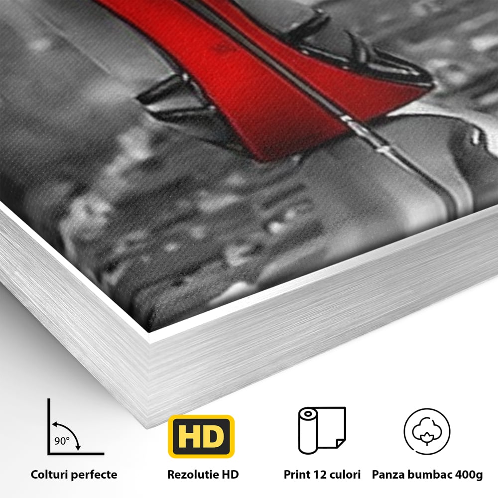 Detaliu al suprafetei: tablou canvas cu pantof pe sina, in rama de aluminiu argintiu