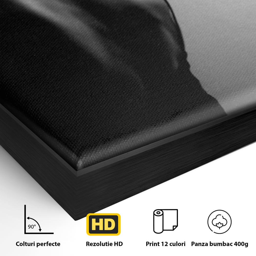 Detaliu al suprafetei: tablou canvas cu silueta feminina monocroma, in rama de aluminiu negru