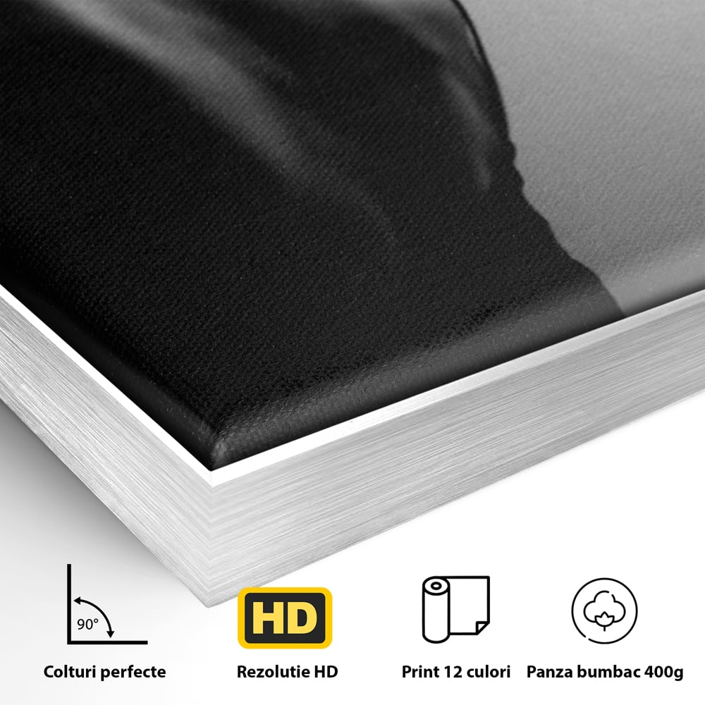 Detaliu al suprafetei: tablou canvas cu silueta feminina monocroma, in rama de aluminiu argintiu
