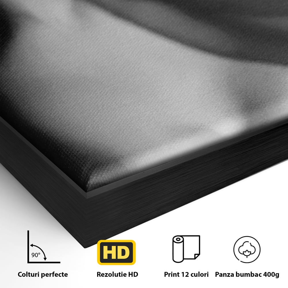 Detaliu al suprafetei: tablou canvas cu buze senzuale, in rama de aluminiu negru