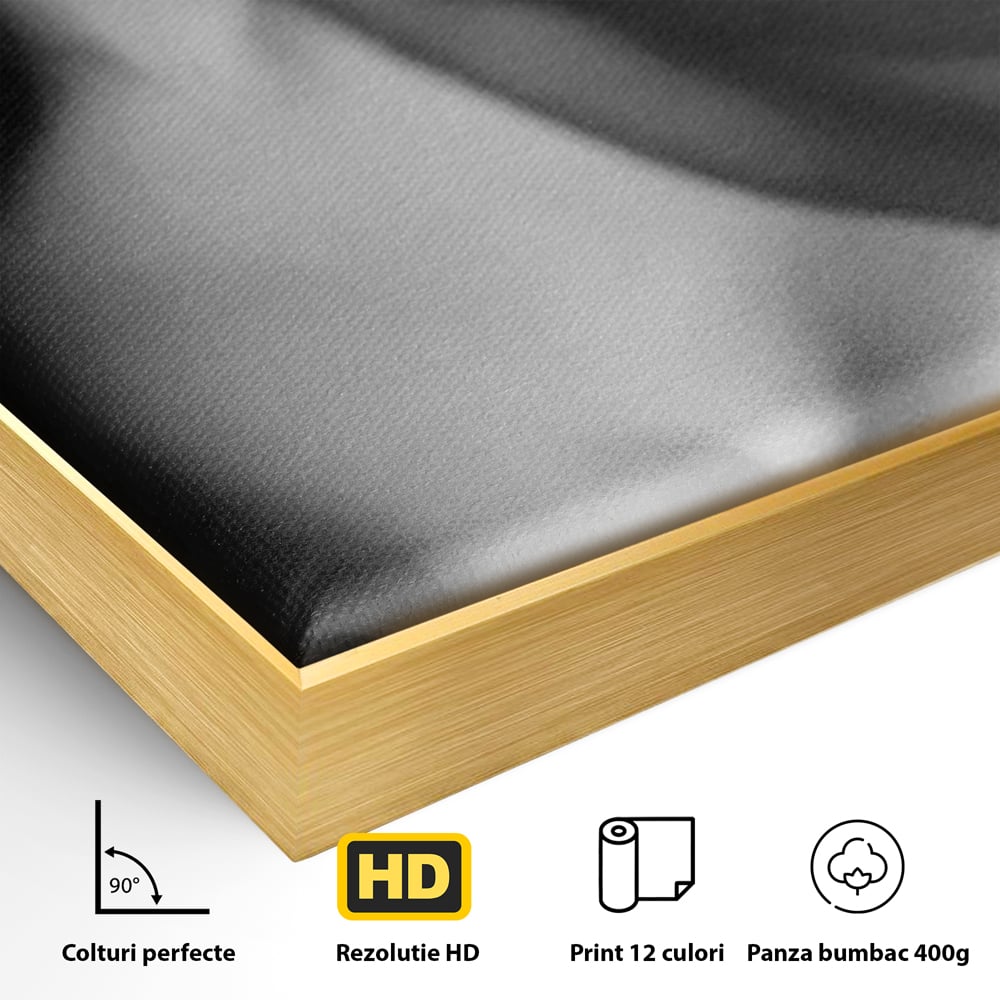 Detaliu al suprafetei: tablou canvas cu buze senzuale, in rama de aluminiu auriu