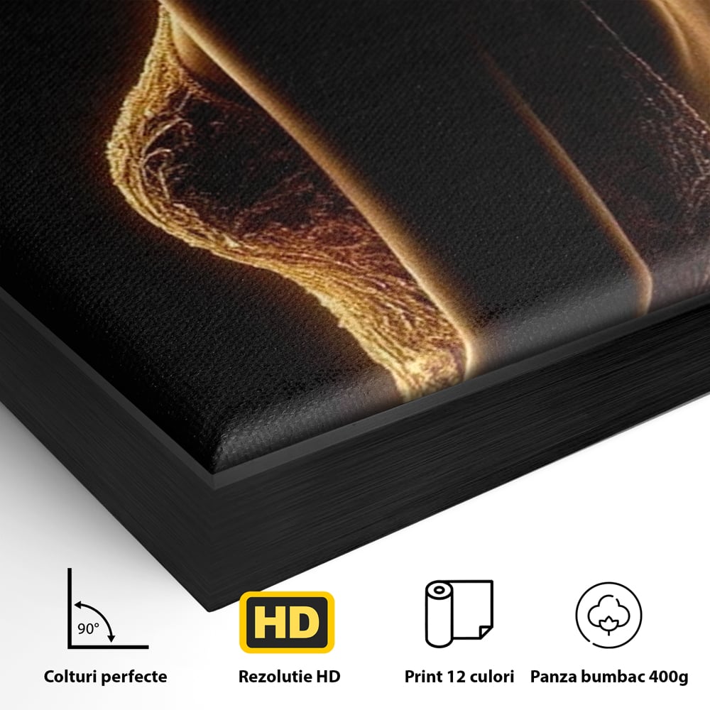 Detaliu al suprafetei: tablou canvas cu silueta feminina, in rama de aluminiu negru