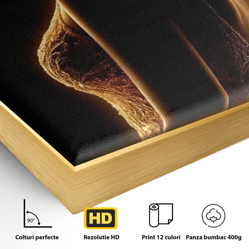 Detaliu al suprafetei: tablou canvas cu silueta feminina, in rama de aluminiu auriu