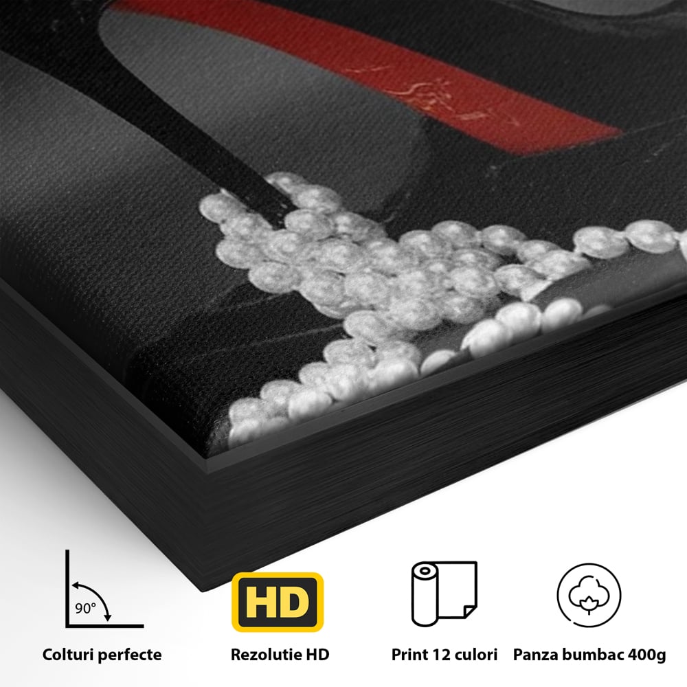 Detaliu al suprafetei: tablou canvas cu pantof si perle, in rama de aluminiu negru